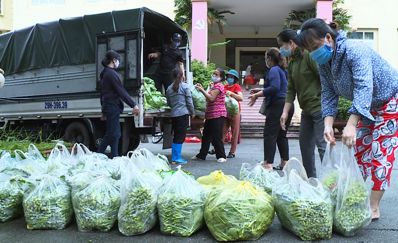 Hà Đông: Hội Phụ nữ hỗ trợ tiêu thụ 2,2 tấn rau cho nông dân phường Đồng Mai - Ảnh 1
