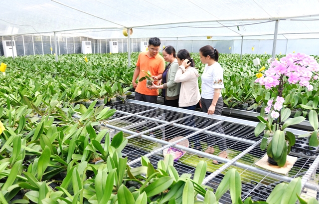 Đến năm 2025, nông dân Hà Nội sẽ có thu nhập bình quân trên 80 triệu đồng/năm - Ảnh 2