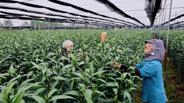 Giám đốc Sở NN&PTNT Hà Nội Chu Phú Mỹ: Kỳ vọng những bước tiến mới về khoa học nông nghiệp - Ảnh 2