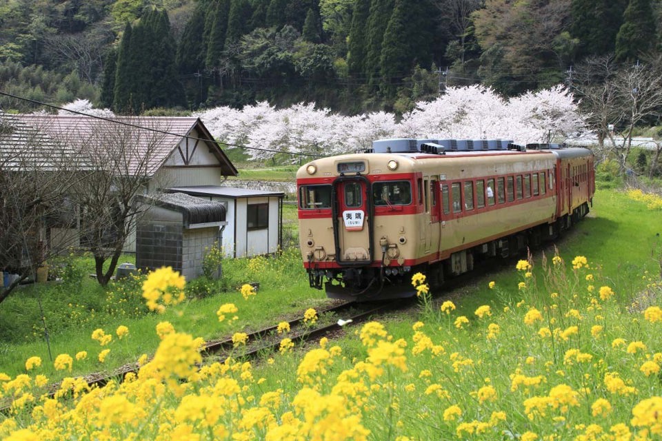Ngắm 10 thắng cảnh nổi tiếng ở nơi đáng sống nhất Nhật Bản - Ảnh 7