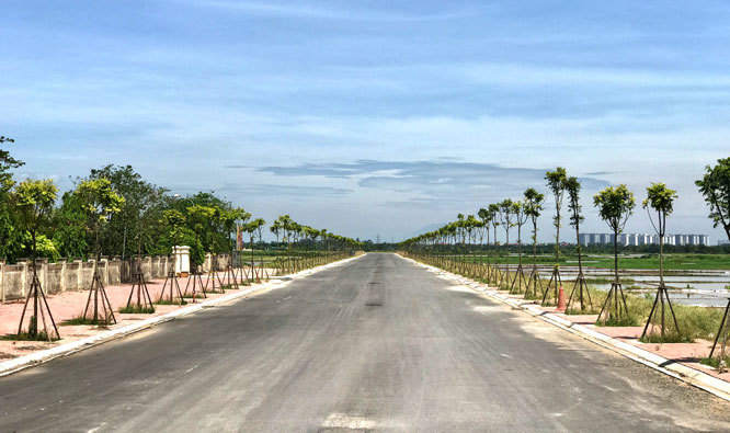 Hà Nội: Phê duyệt chỉ giới đường đỏ tuyến đường Thọ Am - Nội Am, huyện Thanh Trì - Ảnh 1