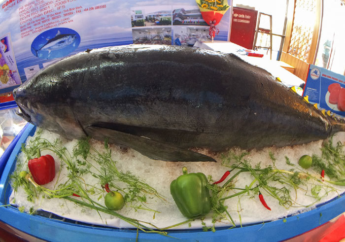 Khai mạc Hội chợ cá tra và các sản phẩm thủy sản Việt Nam - Ảnh 4