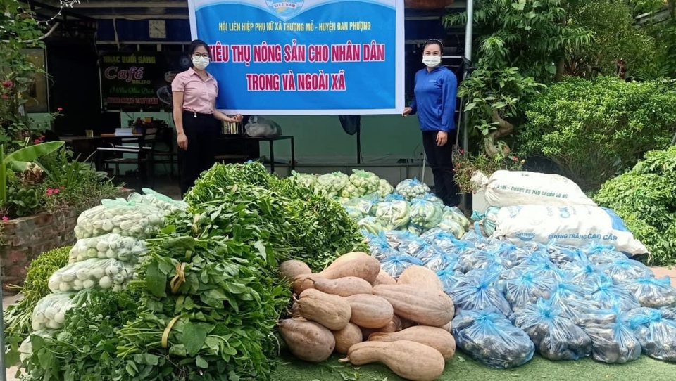 Huyện Đan Phượng: Đẩy nhanh tiến độ hỗ trợ người gặp khó khăn do dịch Covid-19 - Ảnh 3