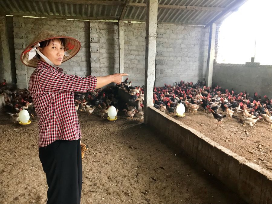 Quỹ Khuyến nông Hà Nội: Kênh tín dụng ưu đãi của nhà nông - Ảnh 2