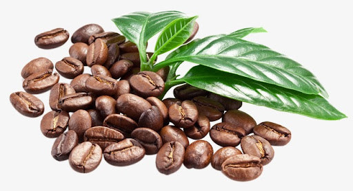 Giá cà phê hôm nay 17/8: Thêm 300 đồng/kg, 2 yếu tố sẽ giúp cà phê tiếp tục tăng trong tuần này - Ảnh 1