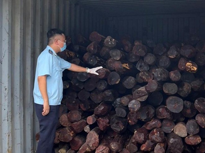 Khởi tố vụ án hình sự buôn lậu 9 tấn gỗ giáng hương - Ảnh 1