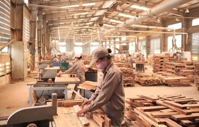 Hoa Kỳ mong muốn Việt Nam trở thành mô hình điểm thế giới về thực thi pháp luật ngành gỗ - Ảnh 1