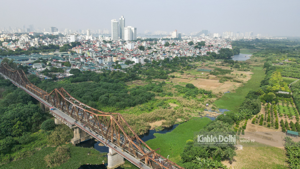 Hà Nội: Mê mẩn ngắm đồng cỏ lau ngay dưới chân cầu Long Biên lịch sử - Ảnh 1