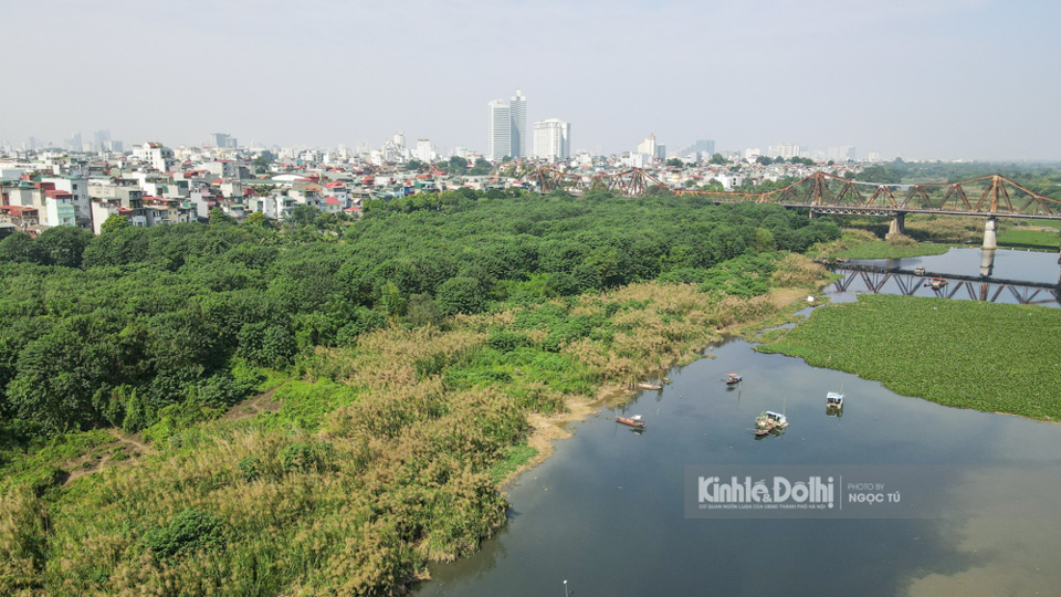 Hà Nội: Mê mẩn ngắm đồng cỏ lau ngay dưới chân cầu Long Biên lịch sử - Ảnh 7