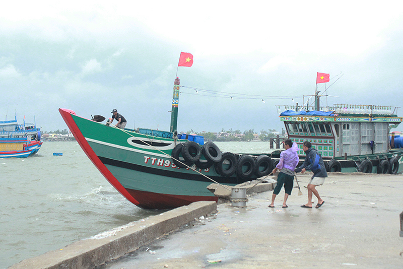 Thừa Thiên Huế gấp rút chuẩn bị ứng phó với bão số 5 - Ảnh 1