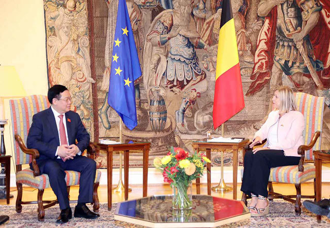Báo chí châu Âu đánh giá cao chuyến thăm của Chủ tịch Quốc hội Vương Đình Huệ - Ảnh 3