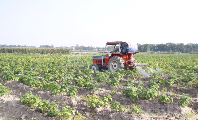 Hà Nội đẩy nhanh tiến độ cấp gần 5.000 giấy chứng nhận sử dụng đất nông nghiệp - Ảnh 1
