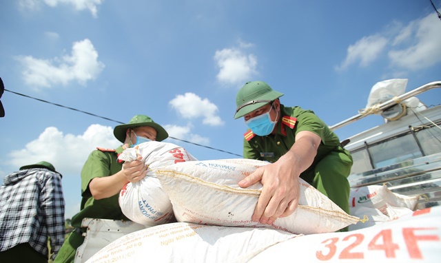 Công an huyện Ứng Hòa gặt lúa giúp người dân xã Viên An - Ảnh 2