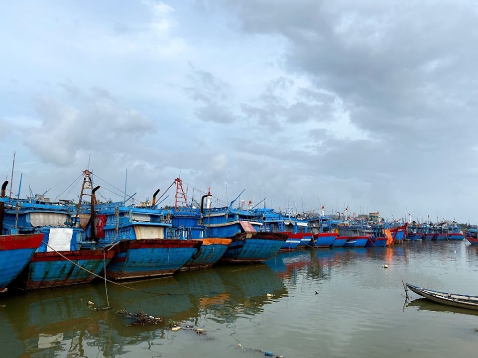 Hơn 2.432 tỷ đồng hỗ trợ ngư dân Quảng Ngãi khai thác vùng biển xa - Ảnh 1