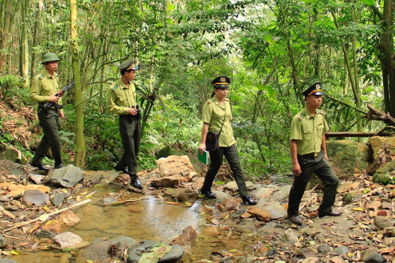 Hiệu quả liên kết bảo vệ rừng giáp ranh - Ảnh 2