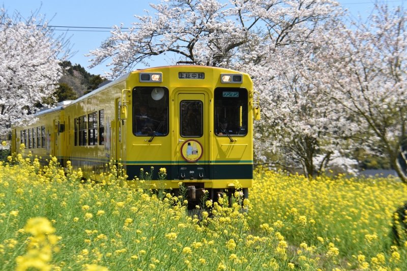Ngắm 10 thắng cảnh nổi tiếng ở nơi đáng sống nhất Nhật Bản - Ảnh 8