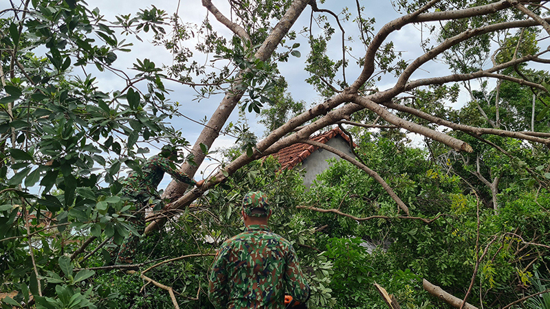 Quảng Nam khắc phục hậu quả của bão số 6 - Ảnh 3