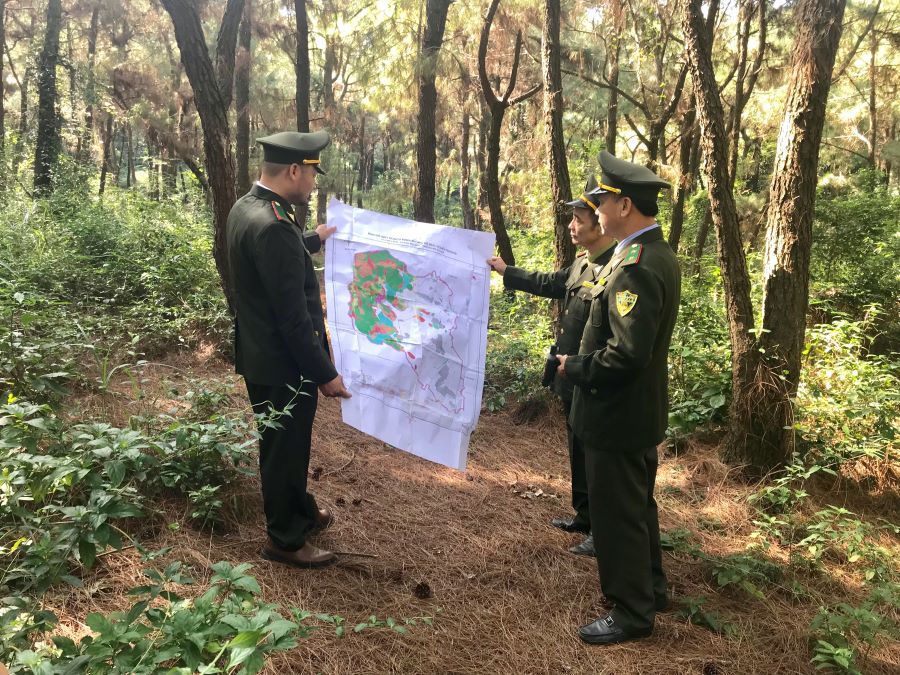 Hà Nội: Không chủ quan phòng cháy rừng mùa hanh khô - Ảnh 3