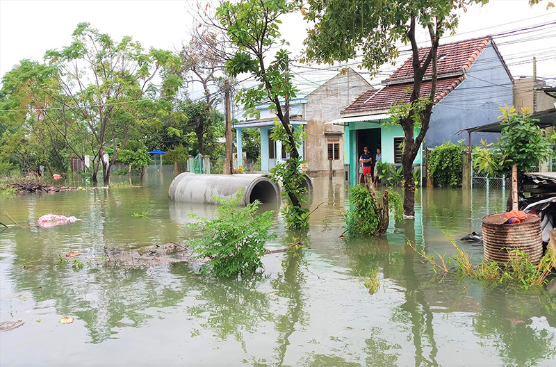 Nhiều nơi ngập sâu, Quảng Nam sơ tán hàng ngàn dân - Ảnh 4