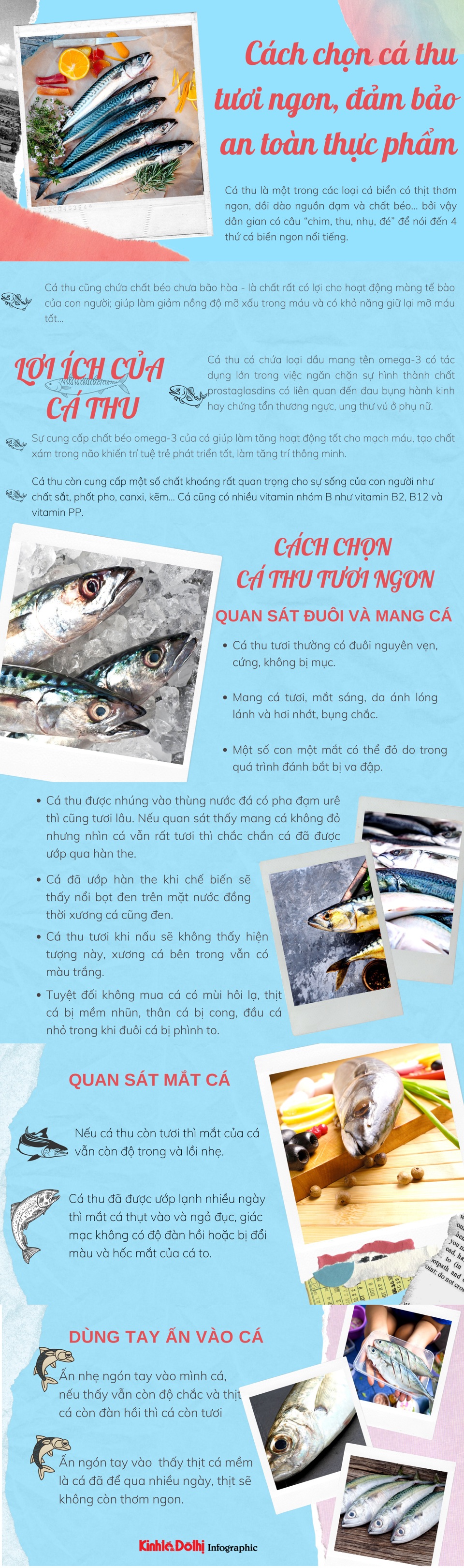 [Infographic] Cách chọn cá thu tươi ngon, đảm bảo an toàn thực phẩm - Ảnh 1