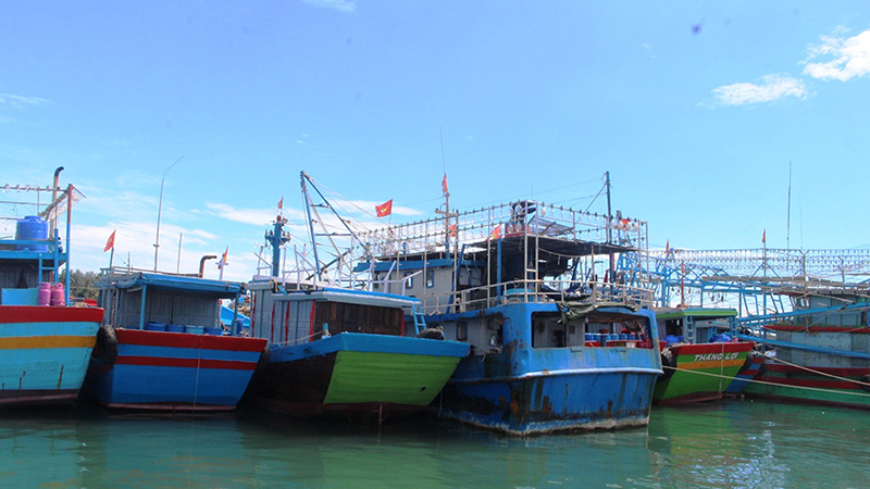 Ngư dân Quảng Nam gặp khó vì hải sản rớt giá - Ảnh 2