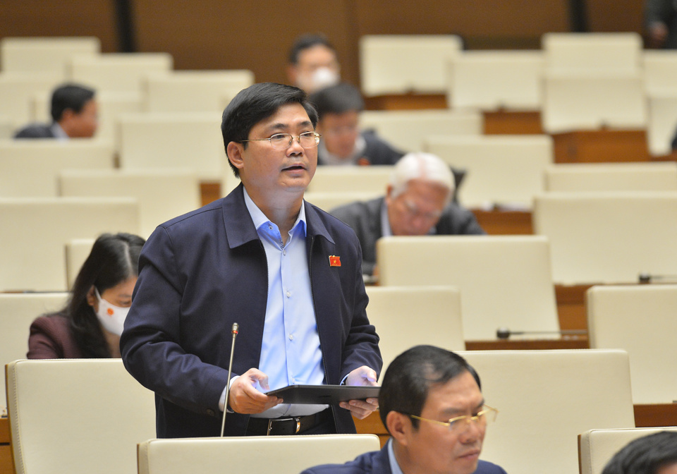 Đại biểu Quốc hội đề nghị xác định rõ nguyên tắc, tiêu chí chuyển đổi đất trồng lúa - Ảnh 2