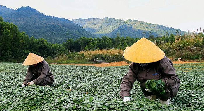 “Thế hệ nông dân mới” thời 4.0 - Ảnh 1