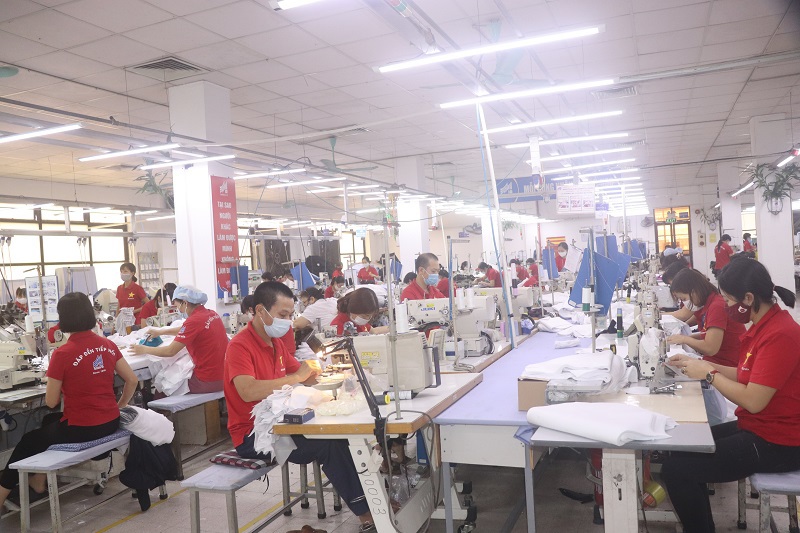 Hà Nội: Gần 1,1 triệu lao động được nhận hỗ trợ từ Quỹ Bảo hiểm thất nghiệp - Ảnh 1