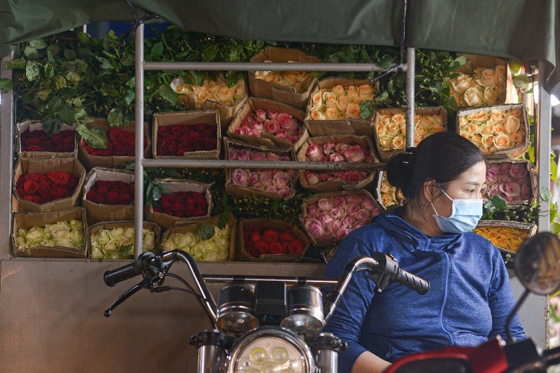 Chợ hoa lớn nhất Hà Nội nhộn nhịp trước ngày 20/10 - Ảnh 4