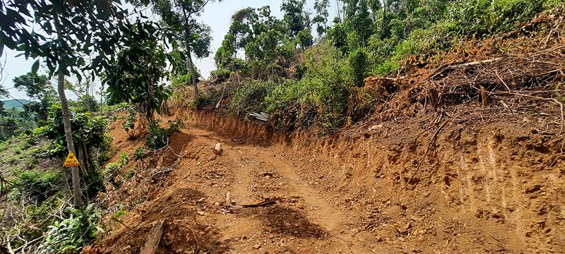 Quảng Nam: Ngang nhiên chặt phá cây, mở đường trái phép trong rừng phòng hộ - Ảnh 1