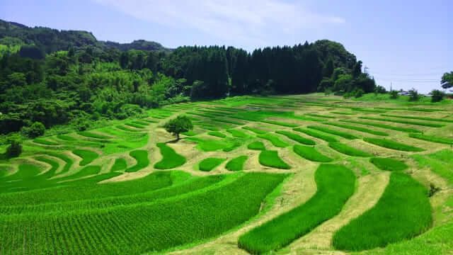 Ngắm 10 thắng cảnh nổi tiếng ở nơi đáng sống nhất Nhật Bản - Ảnh 6