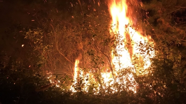 Hà Nội: Không chủ quan phòng cháy rừng mùa hanh khô - Ảnh 1