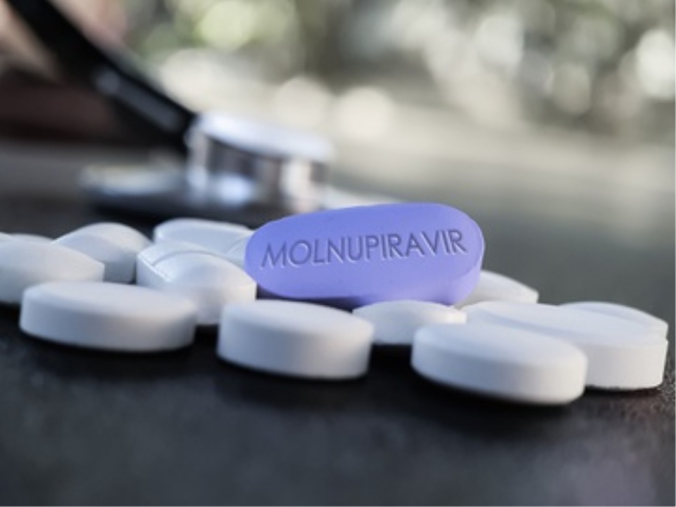 Thuốc Molnupiravir liệu có thể thay đổi cục diện cuộc chiến với Covid-19? - Ảnh 2
