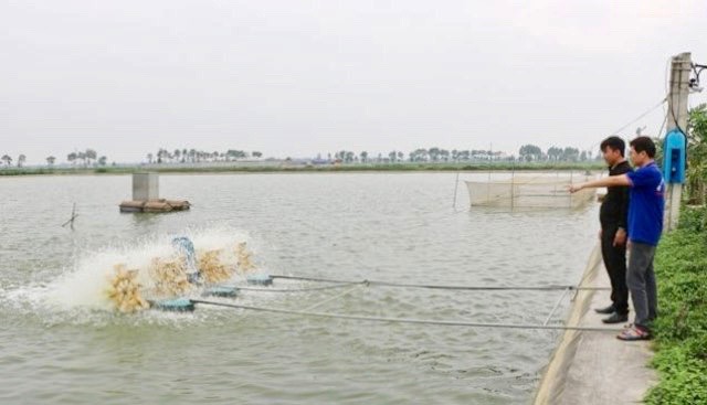 Hà Nội: Mở rộng diện tích, tăng lượng thủy sản cung ứng cho người dân - Ảnh 1