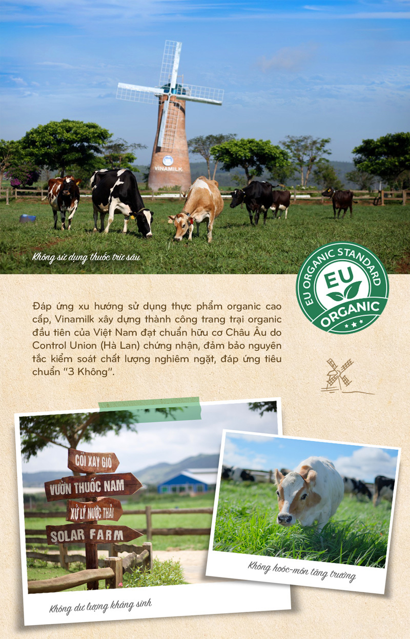 15 năm xây dựng hệ thống trang trại của "triệu phú sữa tươi" Việt Nam - Ảnh 8