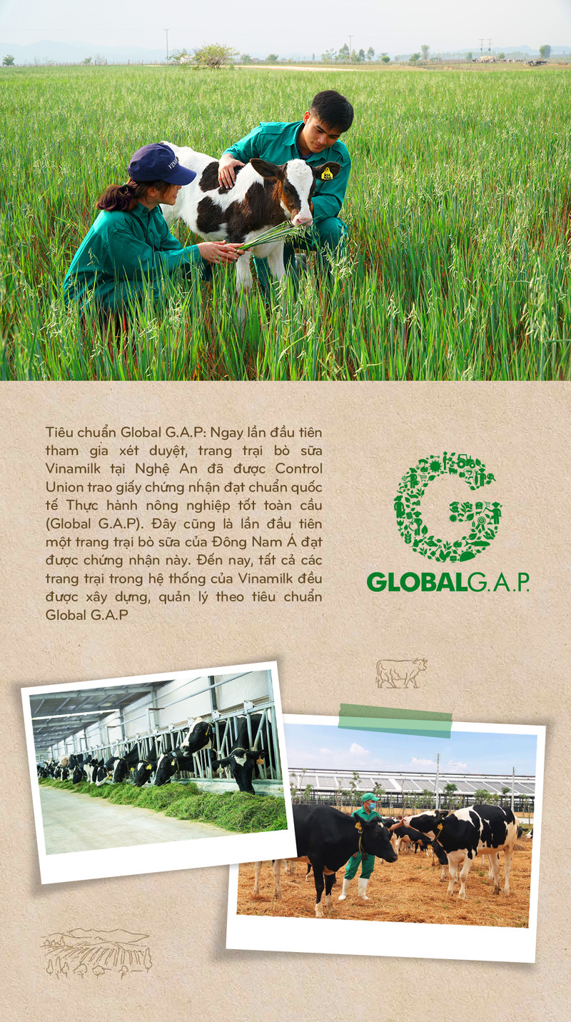 15 năm xây dựng hệ thống trang trại của "triệu phú sữa tươi" Việt Nam - Ảnh 9