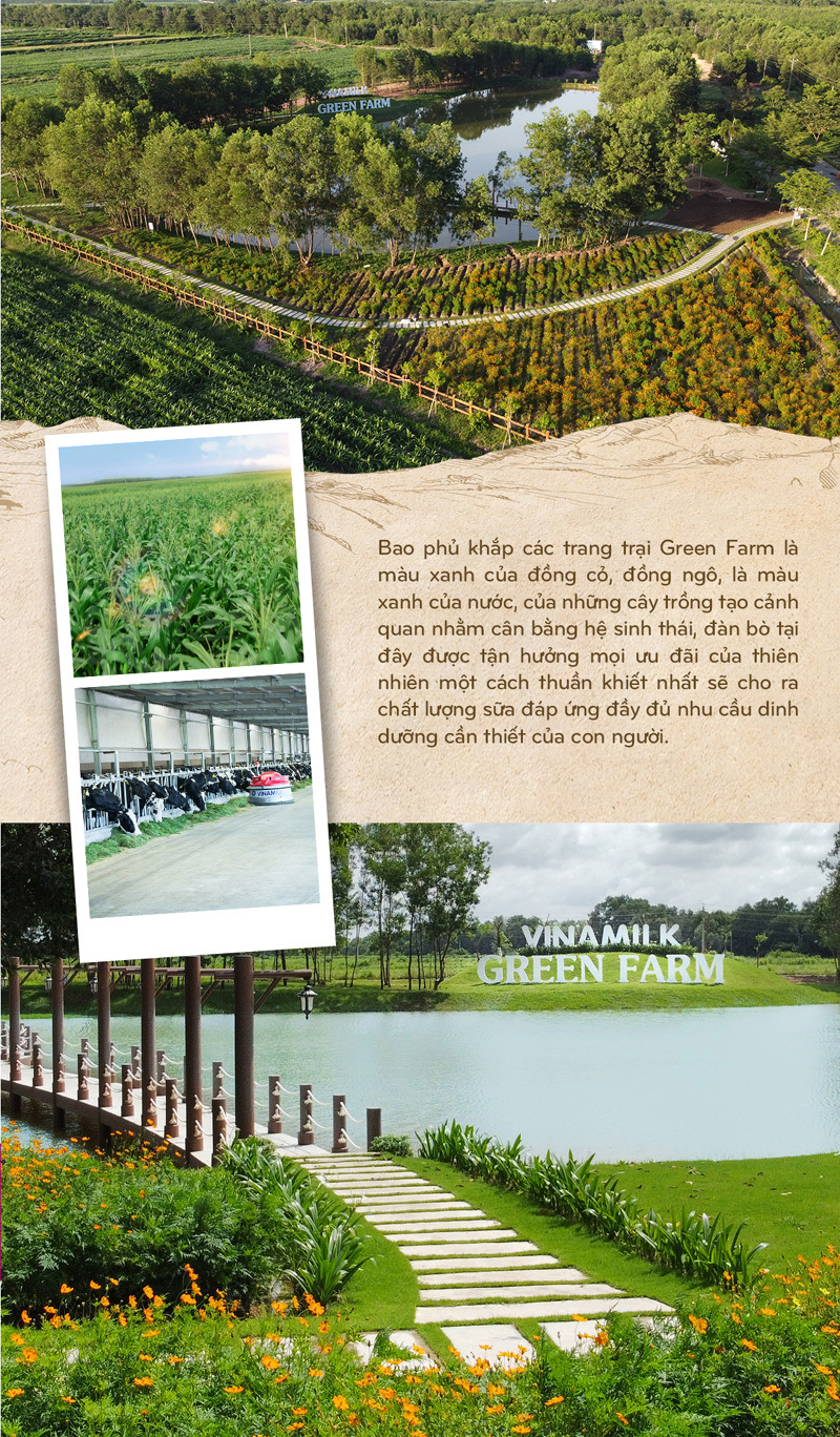 15 năm xây dựng hệ thống trang trại của "triệu phú sữa tươi" Việt Nam - Ảnh 10
