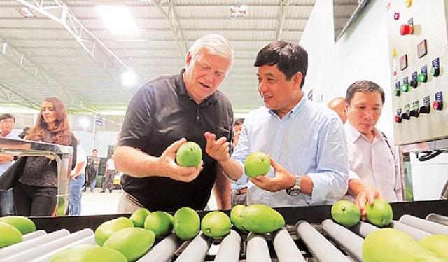 Hợp tác xã “bắt tay” doanh nghiệp thúc đẩy xuất khẩu trái cây - Ảnh 1