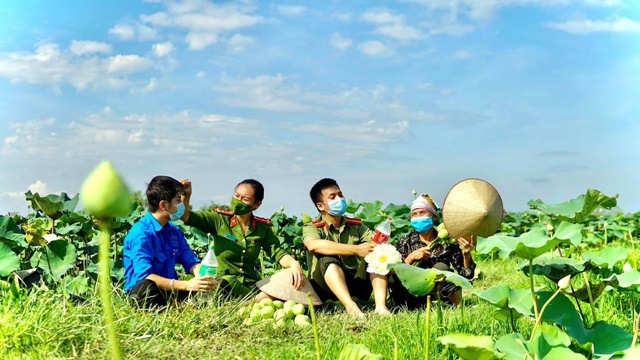 Công an huyện Ứng Hòa “đội nắng” hỗ trợ bà con thu hoạch sen - Ảnh 3