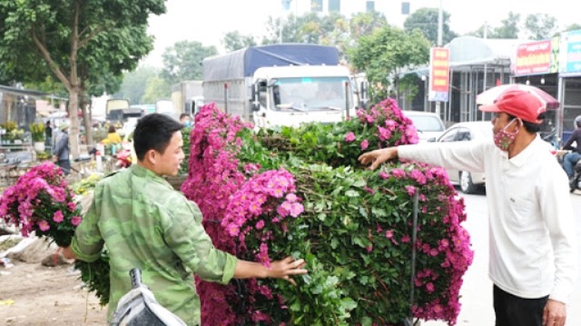 Giải pháp nào cho phát triển kinh tế sinh thái tại Hà Nội? - Ảnh 1