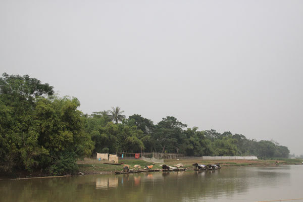 Huyện Thanh Oai: Sạt trượt nghiêm trọng 3 vị trí đê tả sông Đáy - Ảnh 1