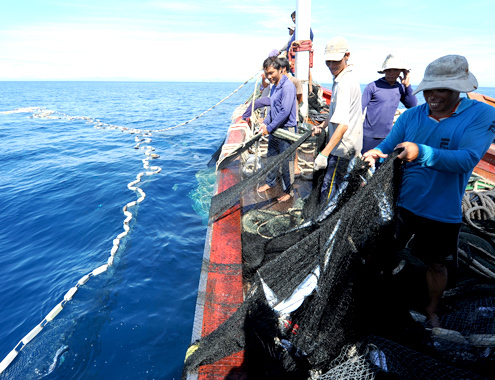 Việt Nam phản đối quy chế đánh bắt cá của Trung Quốc ở Biển Đông - Ảnh 1
