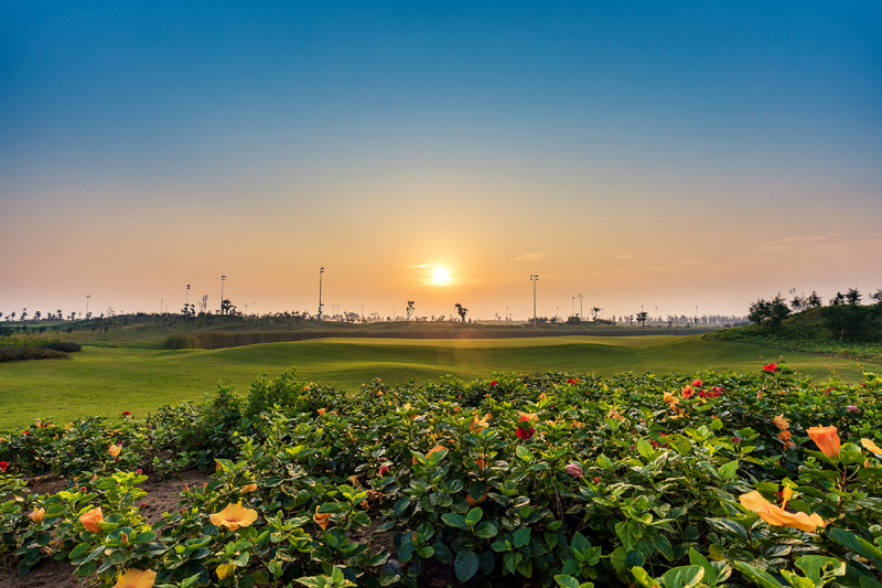 Sân golf Sầm Sơn được mở cửa đón khách ngoài tỉnh - Ảnh 1