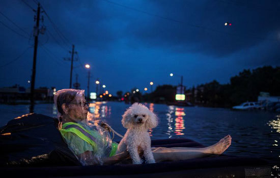 Những hình ảnh mới nhất về mức độ tàn phá của siêu bão Harvey - Ảnh 2