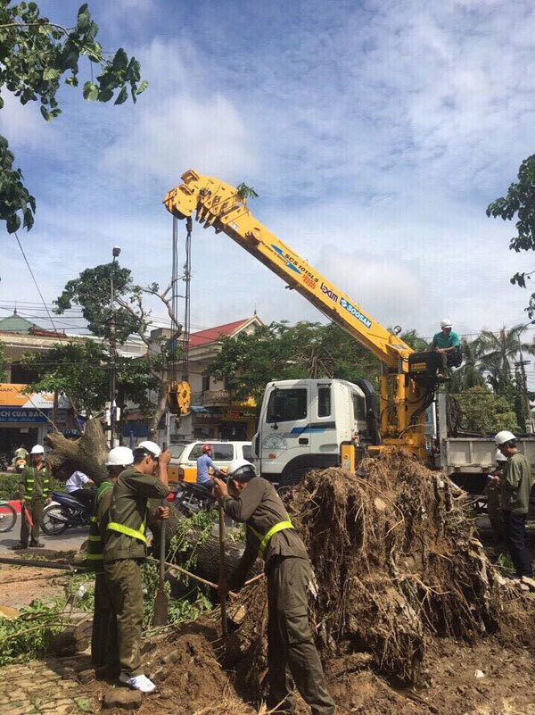 Hà Nội hỗ trợ TP Vinh khắc phục cây gãy đổ do bão số 2 - Ảnh 4