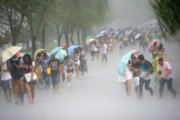 Sóng cao quá đầu người khi bão Hato đổ bộ vào Hong Kong - Ảnh 6