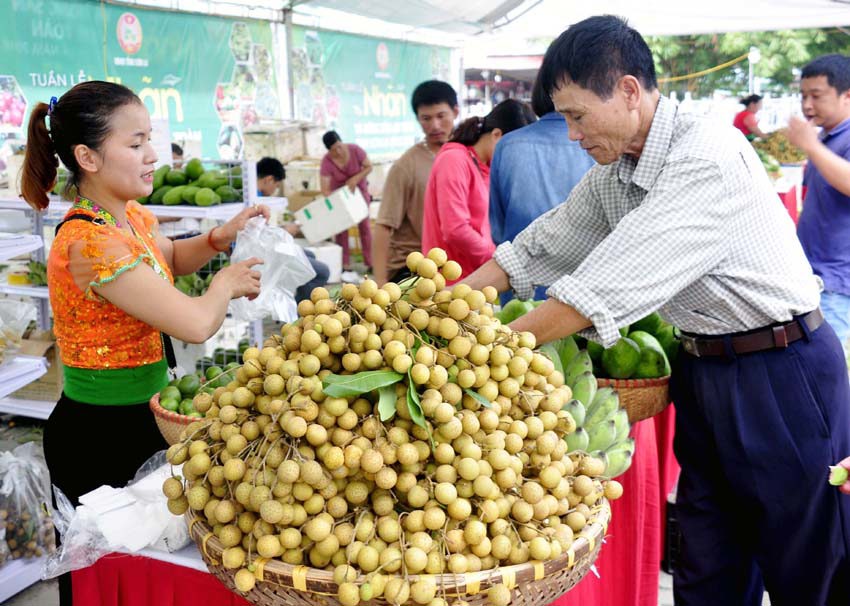 Nhãn đầu mùa được giá - Ảnh 1