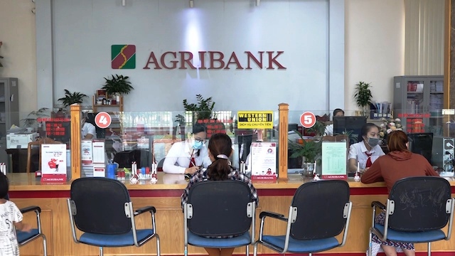 Agribank tiếp sức hộ sản xuất, doanh nghiệp vững tin vượt qua đại dịch - Ảnh 2