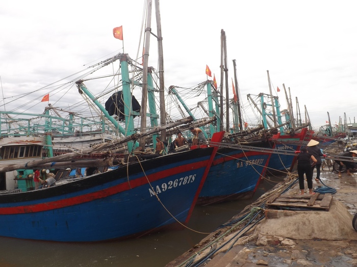 Nhiều tàu thuyền của Nghệ An vào Quảng Bình, Quảng Nam tránh bão số 2 - Ảnh 1