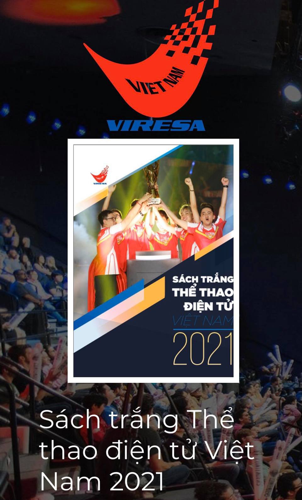 Lần đầu tiên công bố Sách trắng Thể thao điện tử Việt Nam - Ảnh 1